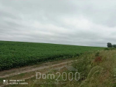 For sale:  land - Pisarivka village (10696-028) | Dom2000.com