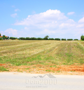 Продам земельный участок - Халкидики (4120-996) | Dom2000.com